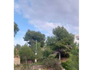 Vistas