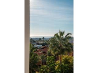 Vistas