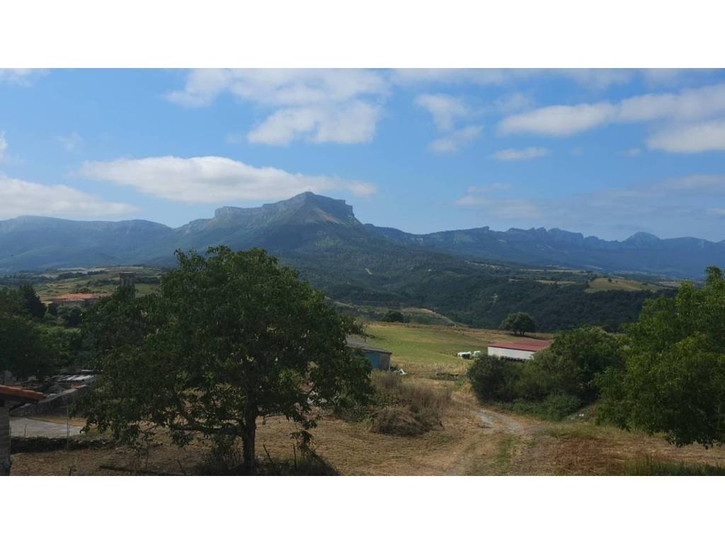 Vistas