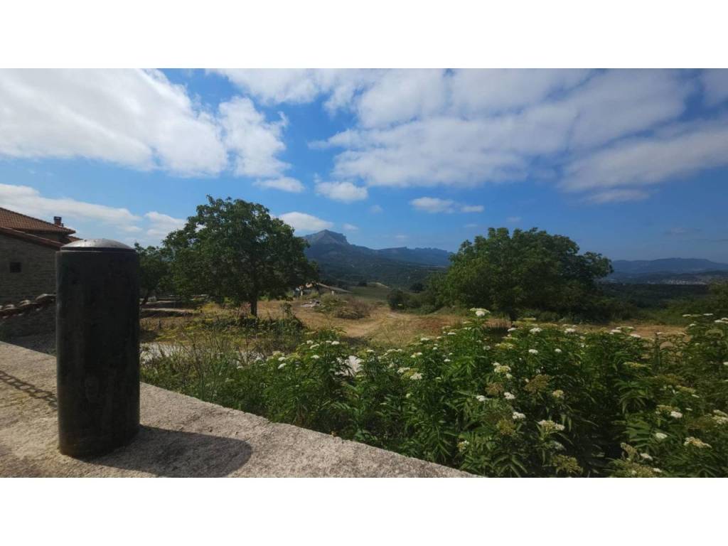 Vistas
