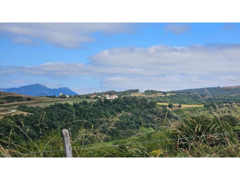 Alrededores