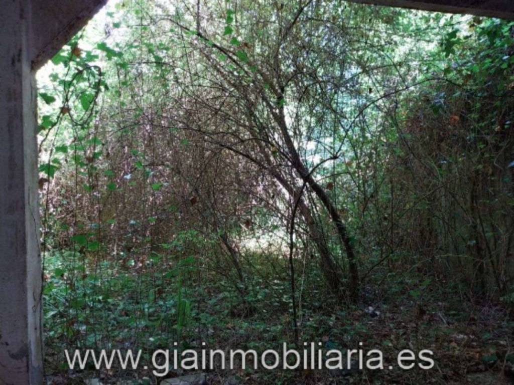 No Informado