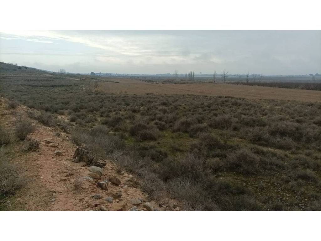 Vistas