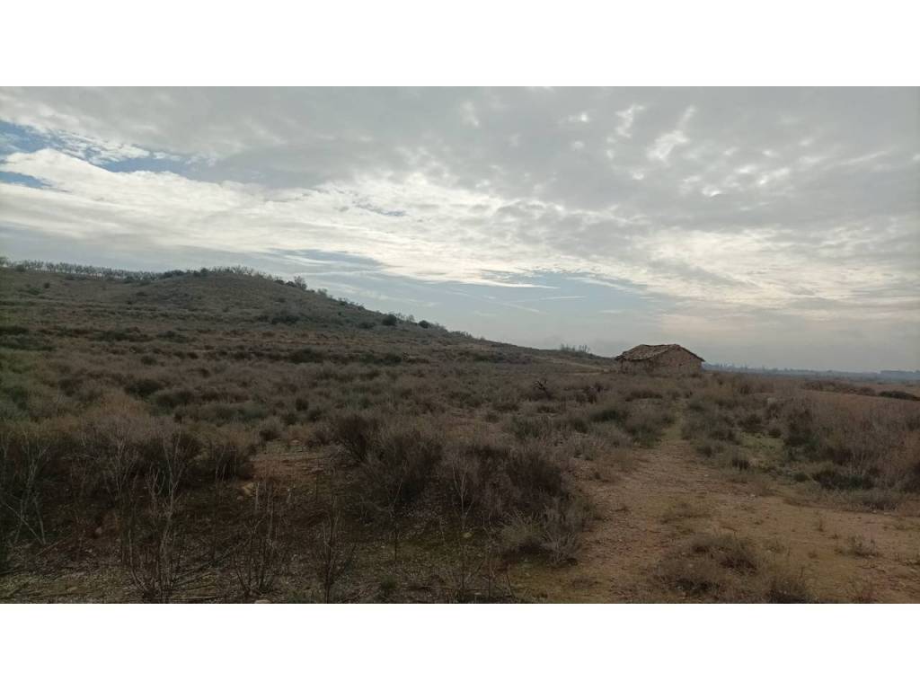 Vistas