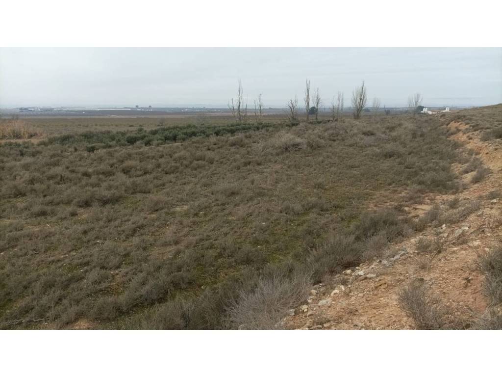 Vistas