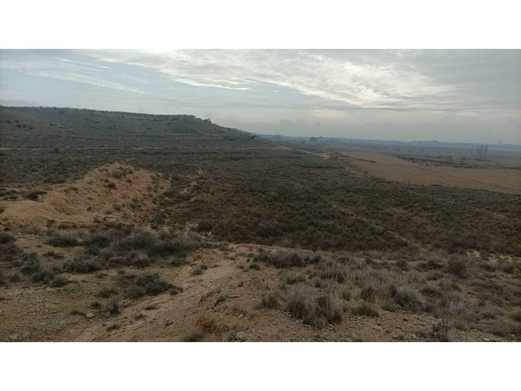Vistas