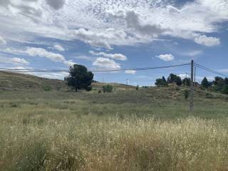 Vistas
