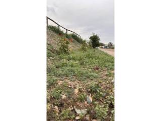 Jardín