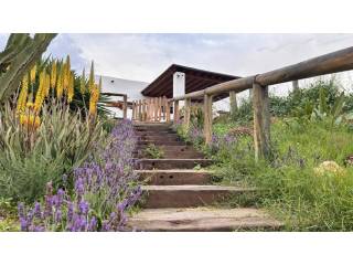 Jardín