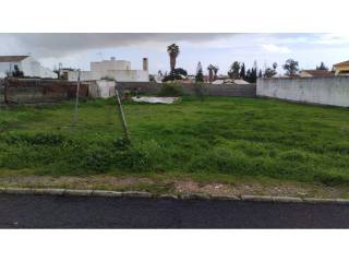 Jardín