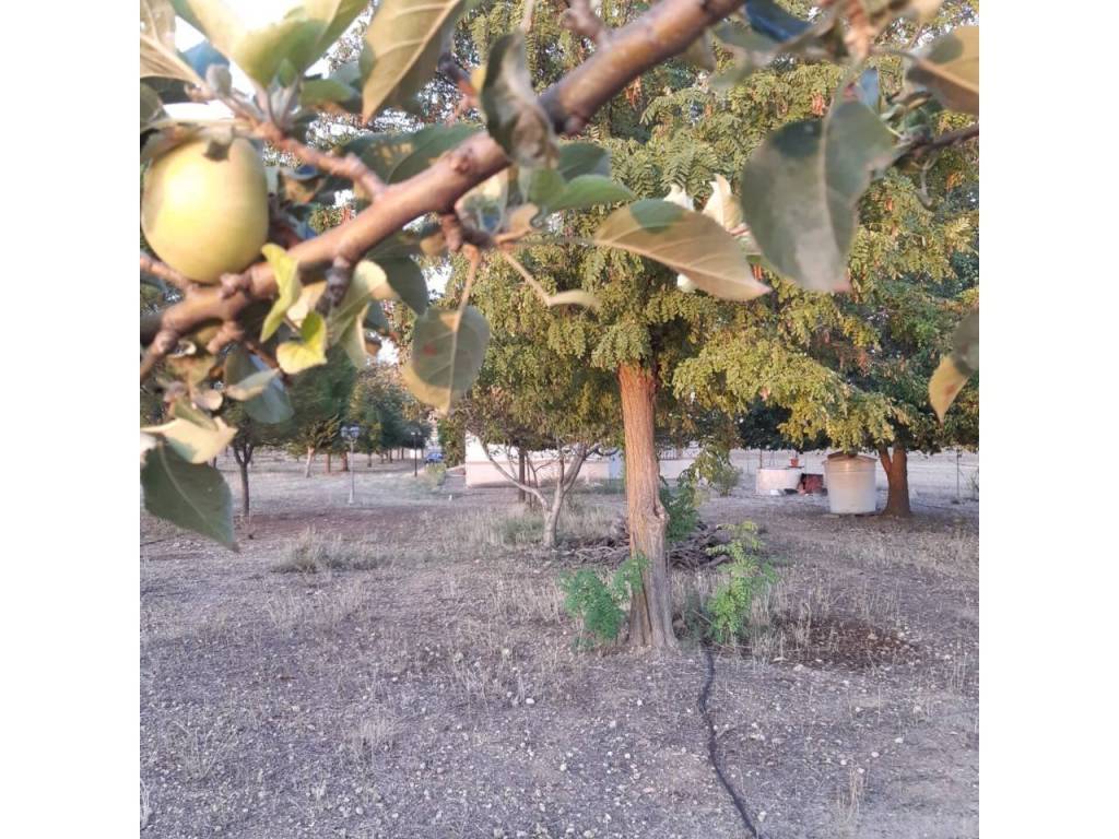 Jardín