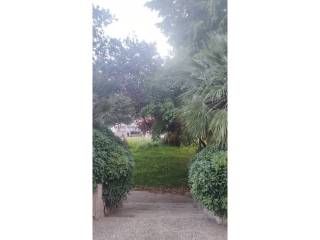 Jardín
