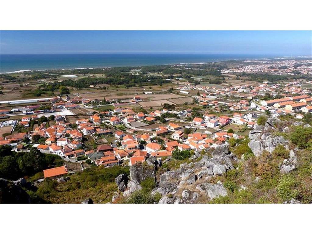 Vistas