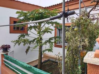 Jardín