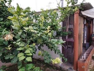 Jardín
