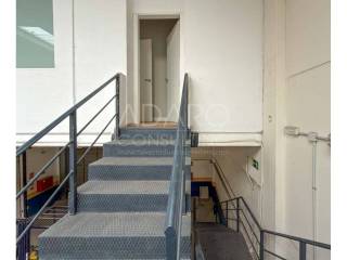 Escalera