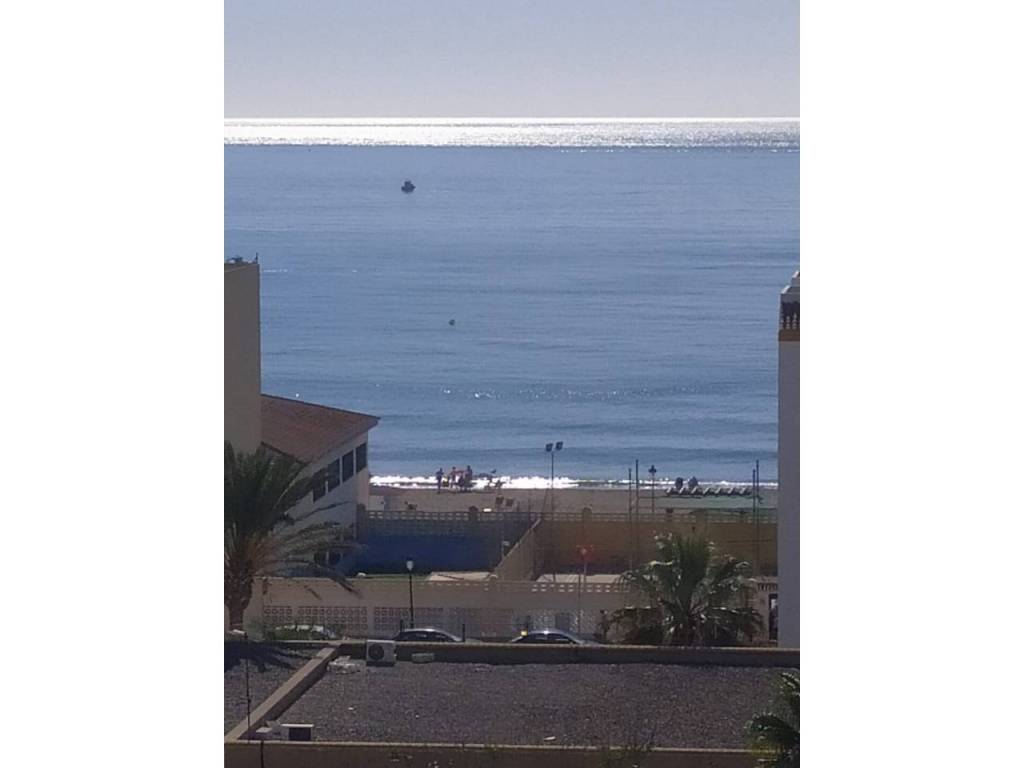 Vistas