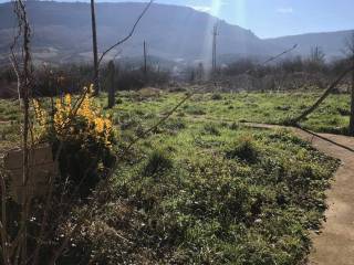 Jardín