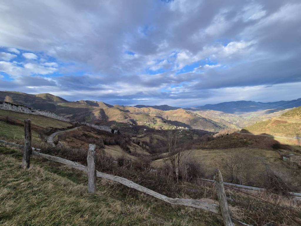 Vistas