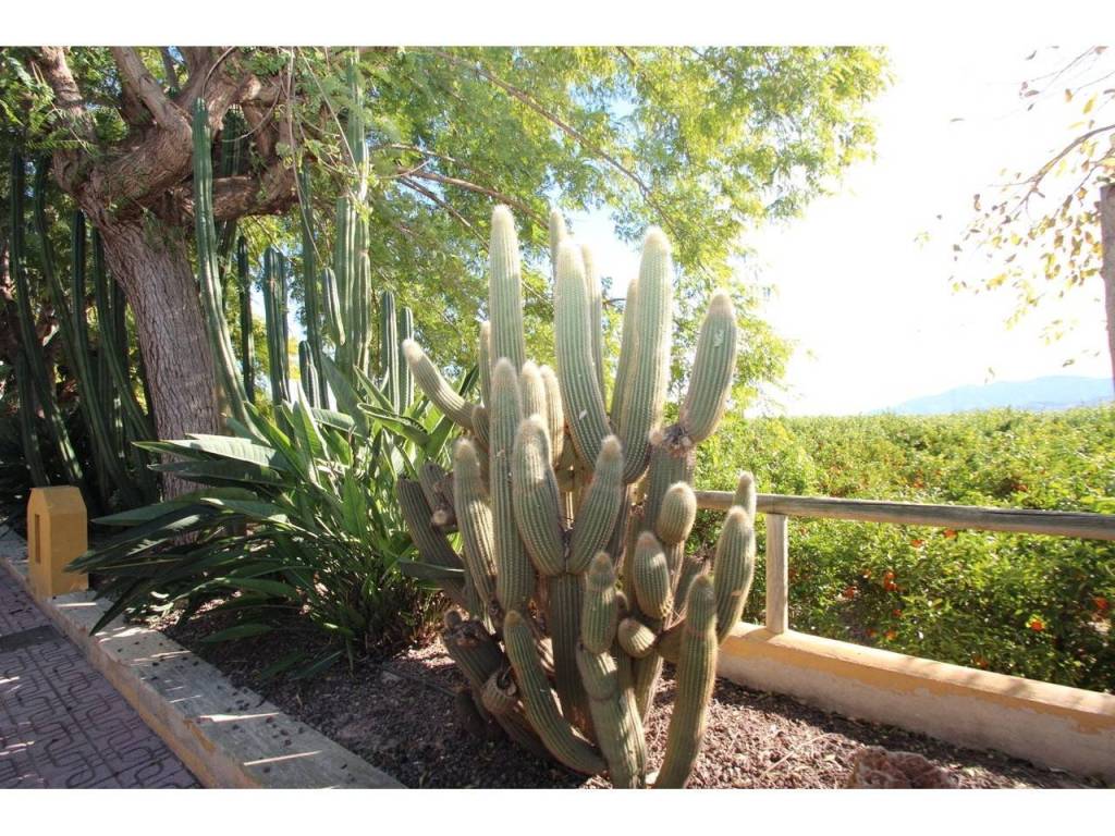 Jardín