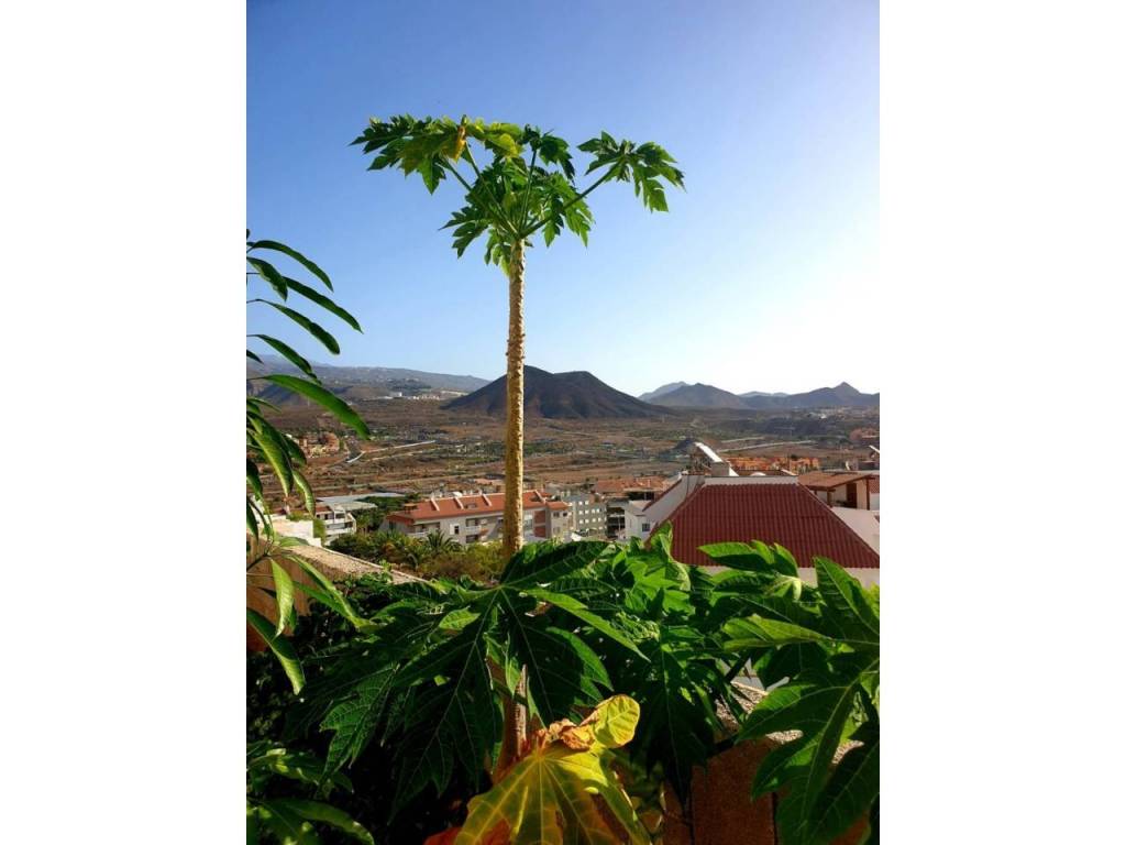 Vistas