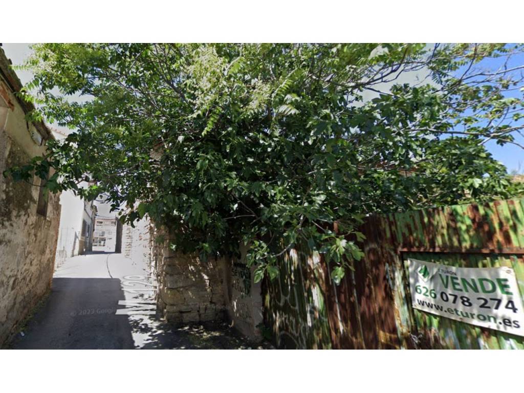 Jardín