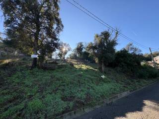 Jardín