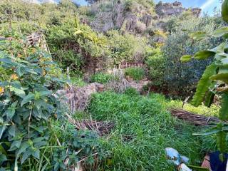 Jardín