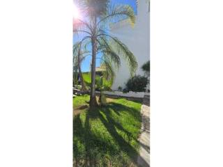 Jardín