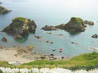 Vistas