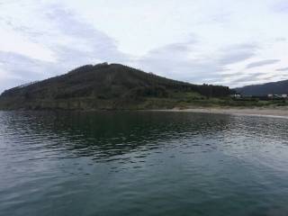 Vistas
