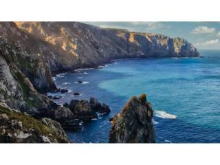 Vistas