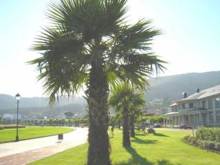 Jardín