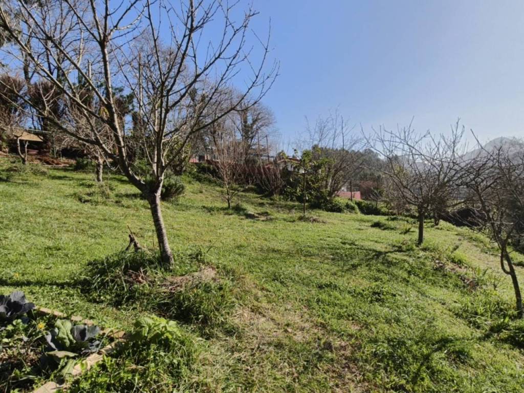 Jardín