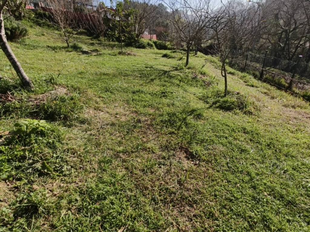 Jardín