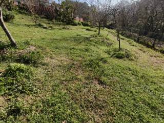Jardín