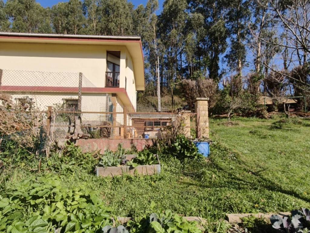 Jardín
