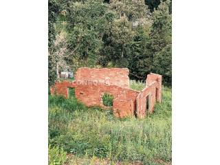Jardín