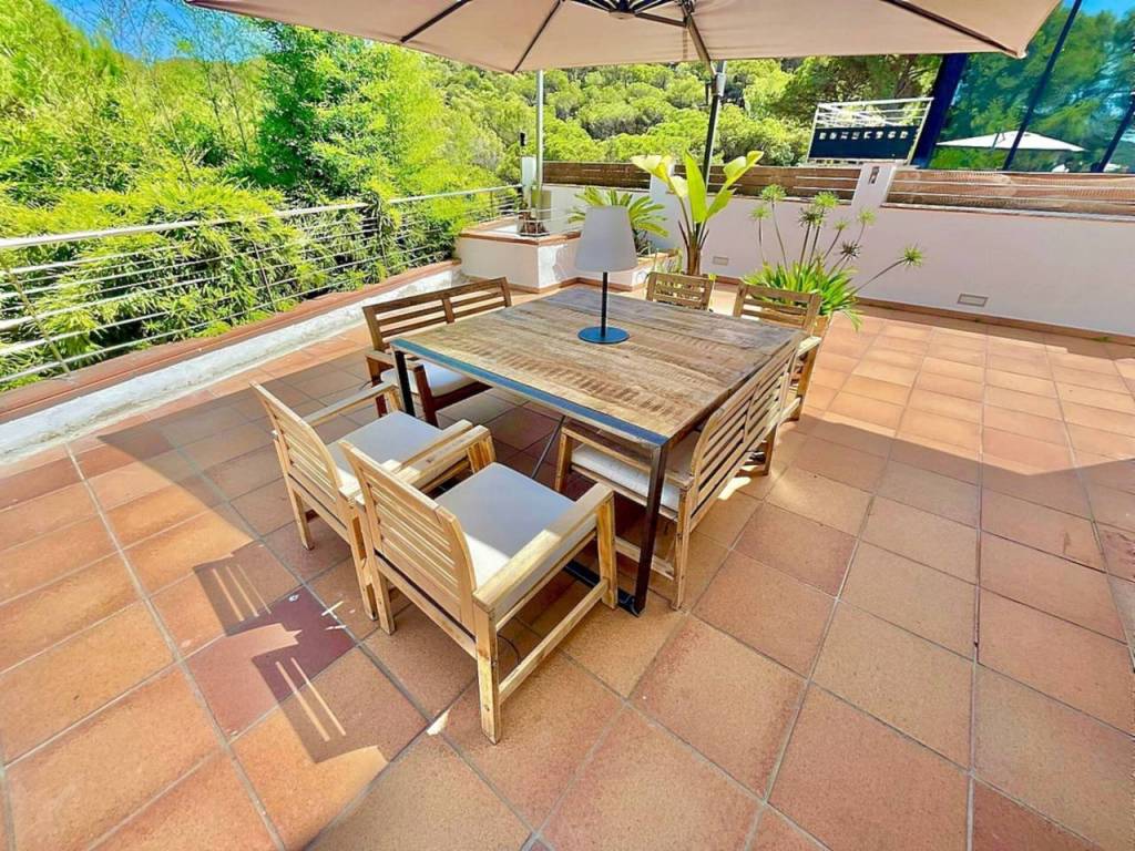 Terraza
