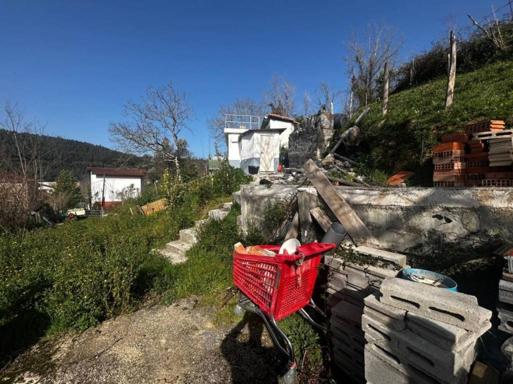 Jardín