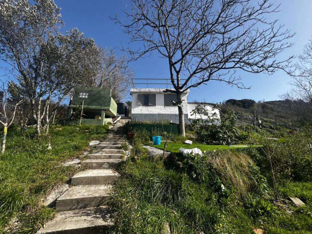 Jardín