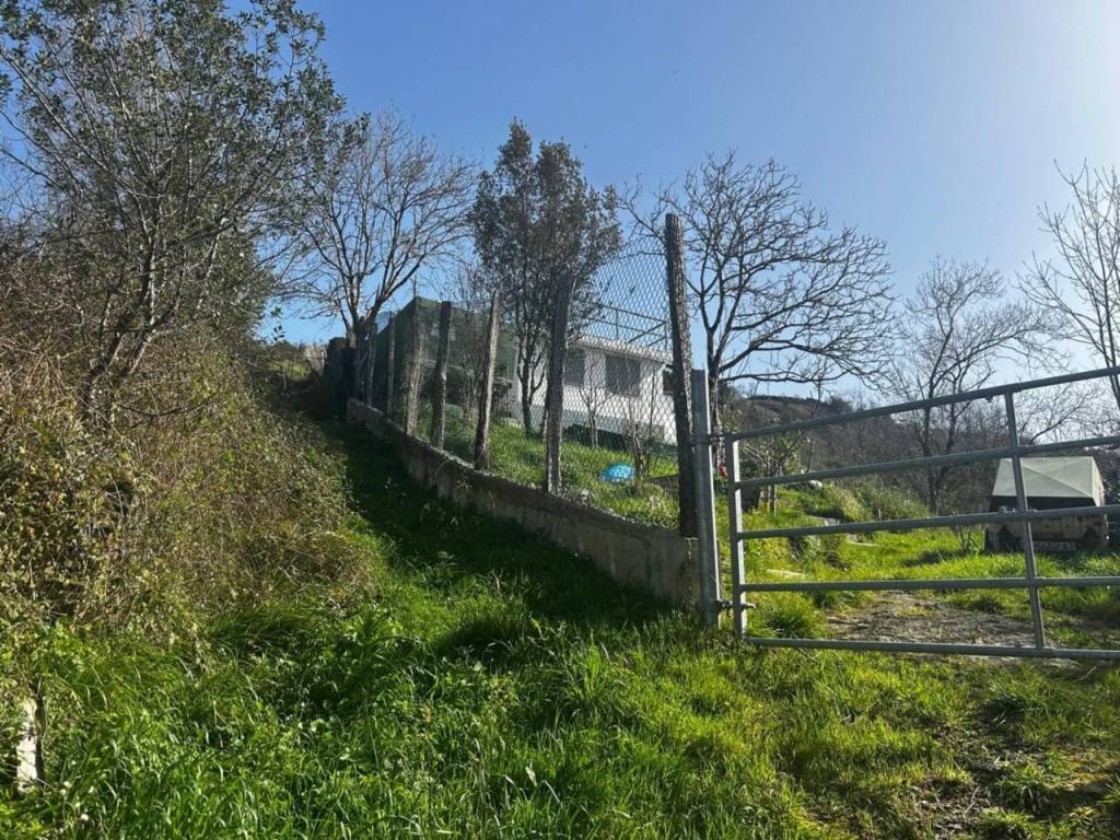 Jardín