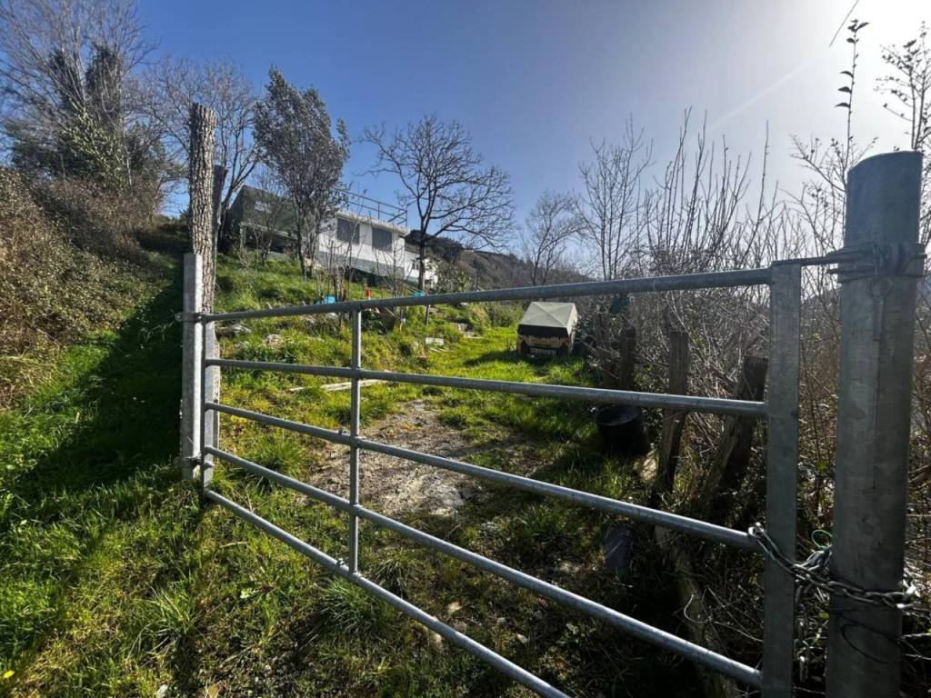 Jardín