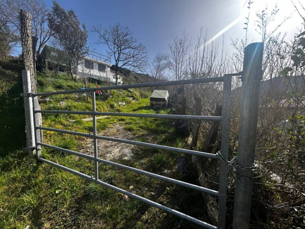 Jardín