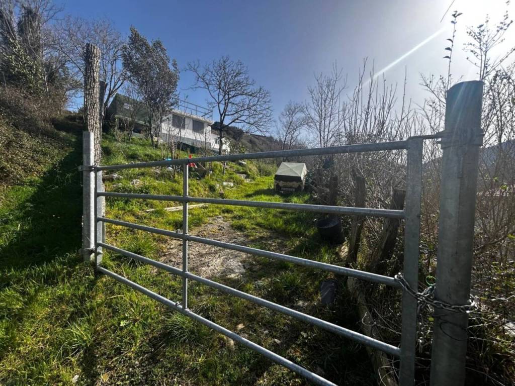 Jardín