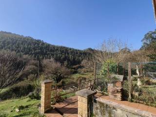 Vistas