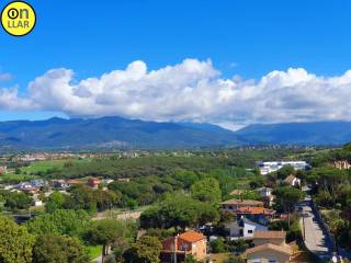 Vistas