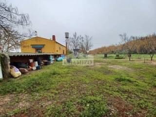 Jardín