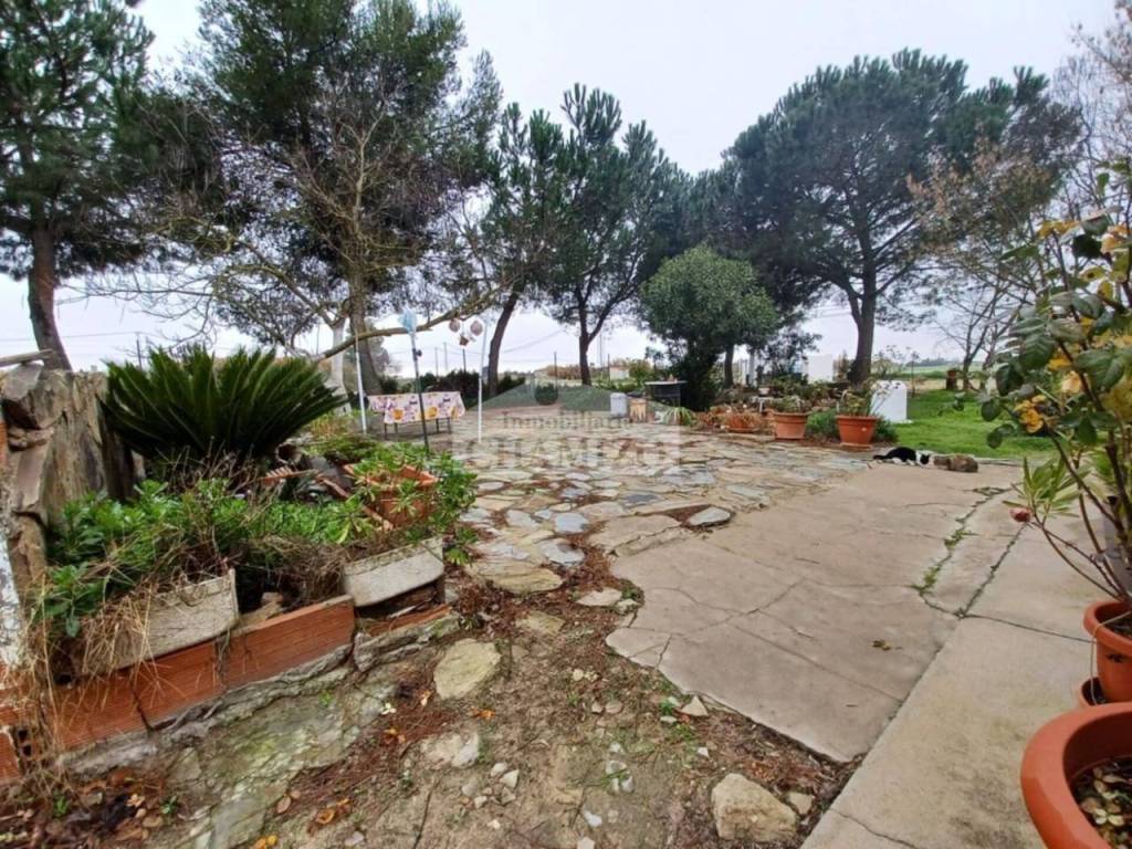 Jardín