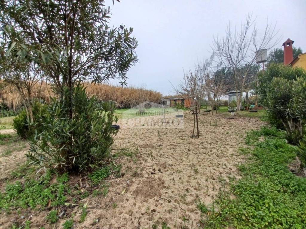 Jardín
